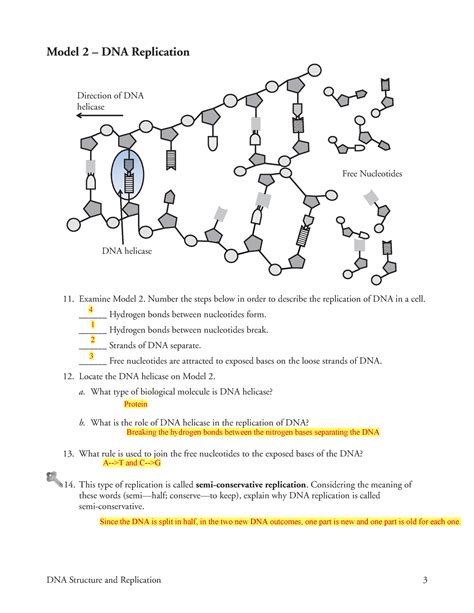 Image result for DNA Model Worksheet