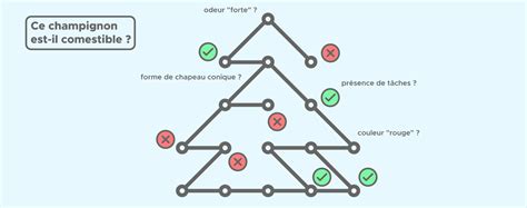 Image result for Random Forest Algorithm Fonctionnement