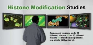 Image result for Histone Modification Microscope