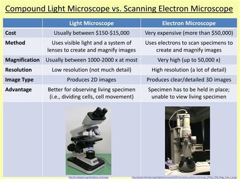 Image result for Electron Microscopy vs Light Microscope