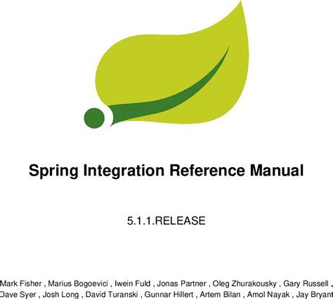 Toradh íomhá ar Spring Integration Icon