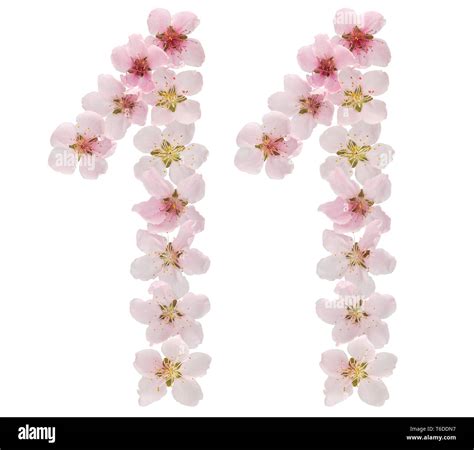 Image result for 11 in 2 in 1 Detachable Tablet