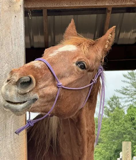 Image result for Facebook Loading Interface Image