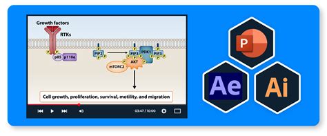 Image result for Animation On Scientific Visualization