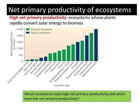 Net Primary Productivity in Ecosystems માટે ઇમેજ પરિણામ