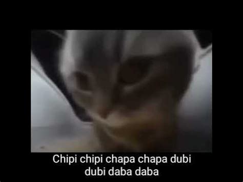 Image result for DAB Chippy