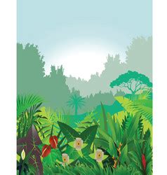 Image result for Forest Background Vector