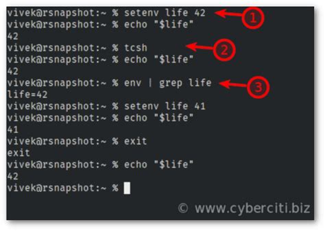 Image result for Tcsh Shell