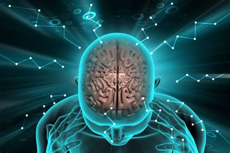 Image result for Brain Development Vector