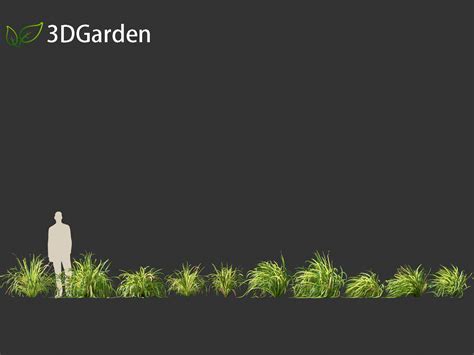 Lemongrass 3D Model に対する画像結果