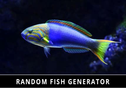 Image result for Random Name Picker Fish
