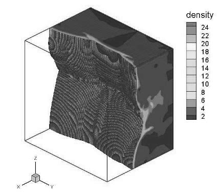 Image result for 1D Detonation Profile