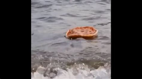 Image result for Pizza Floating On Water Cartoon