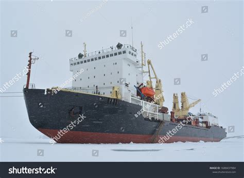 Toradh íomhá ar What Is the Coldest Continent