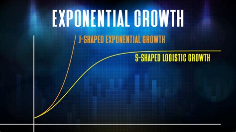 Exponential Growth Graph に対する画像結果