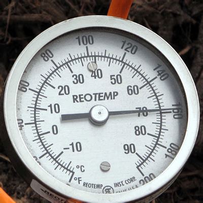 Buried in Manure に対する画像結果