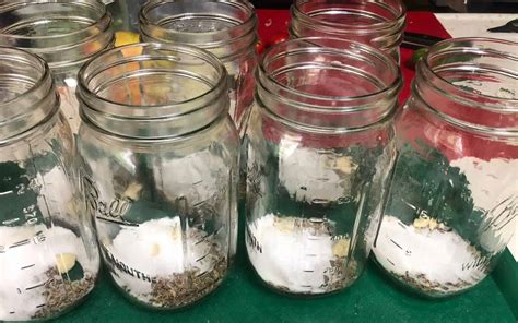 Image result for How to Use Canning Jars