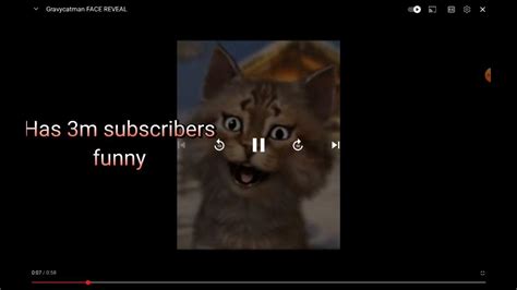 Image result for Gravy Cat Man Live