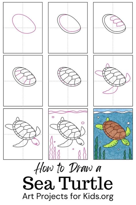 Toradh íomhá ar Turtle Drawing Step by Step