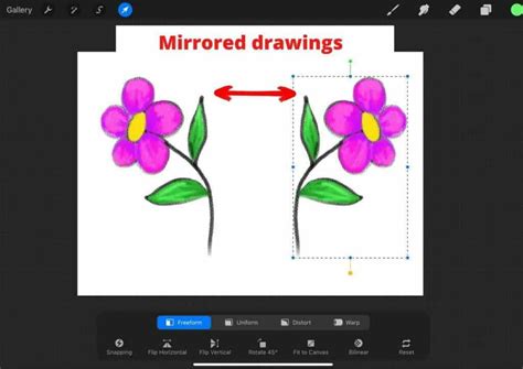 Procreate Can I Draw Reflection に対する画像結果