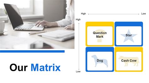 Image result for Matrix Management Model
