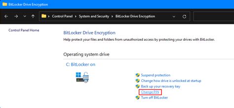 Image result for BitLocker PIN Screen Shot