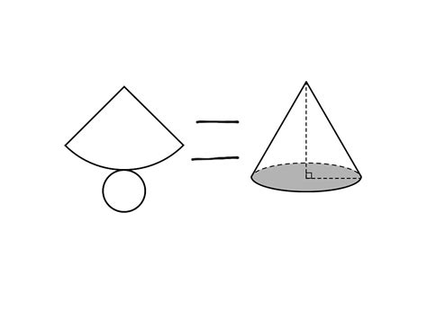 Image result for Cone Net