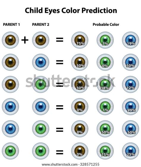 Image result for Eye Color Probability Chart