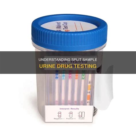 Split Sampling ಗಾಗಿ ಇಮೇಜ್ ಫಲಿತಾಂಶ