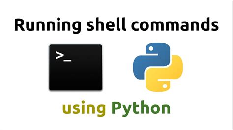 Python Notebook Shell に対する画像結果