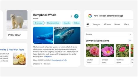 Image result for Google Search Android Design iOS