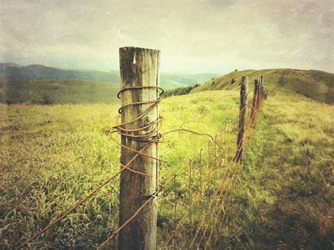 Image result for Phot Landscape