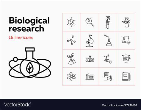 Image result for Biological Development Icon