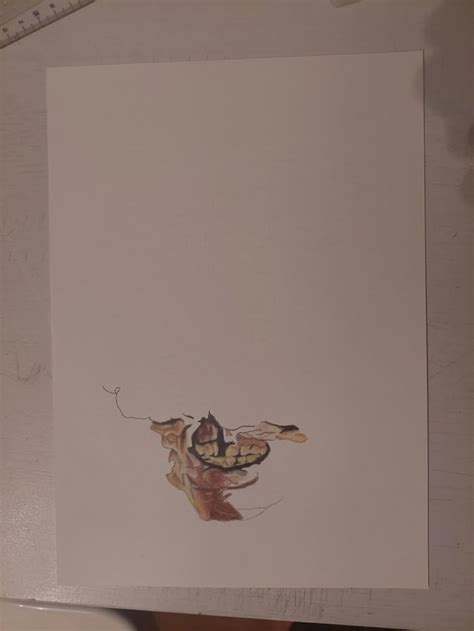 Afbeeldingsresultaten voor Clicker Drawing