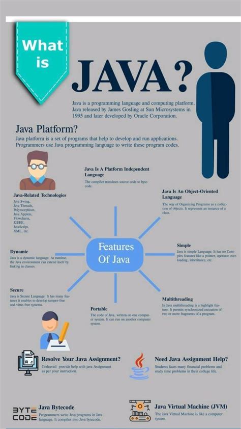 Image result for What Is Java KS3