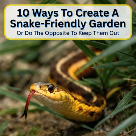 Image result for Do Pythons Eat Iguanas