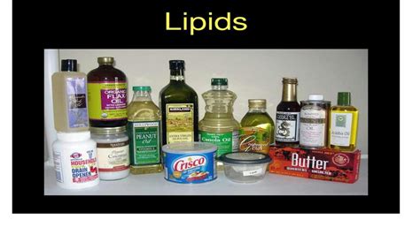 Define Lipid に対する画像結果