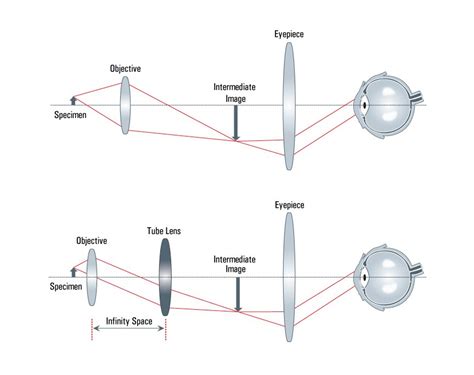 Infinity System に対する画像結果