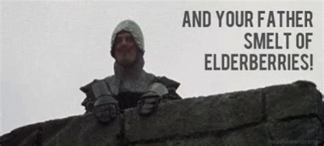 Monty Python Stupid GIF に対する画像結果