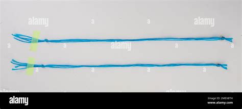 String Knots に対する画像結果