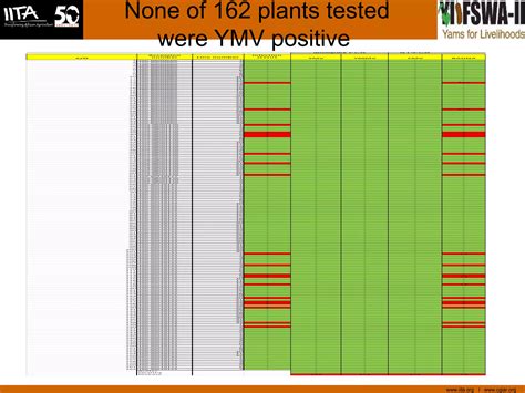 Image result for Pre Basic Seed