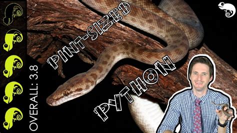 Image result for Child Python