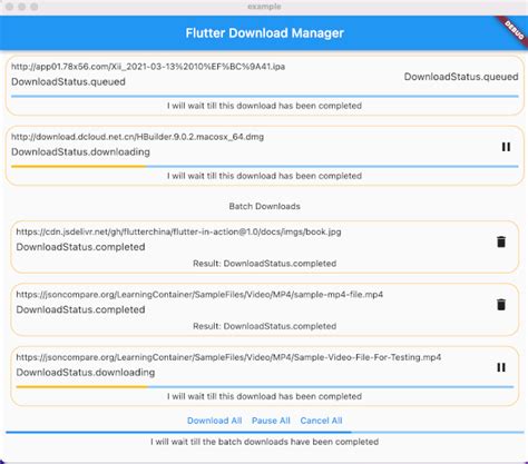 Toradh íomhá ar Platform File Flutter