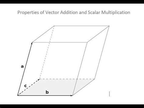 Image result for Vector Addition and Scalar Multiplication