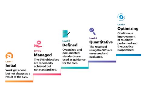 Image result for Service Maturity Model