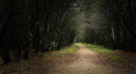 Step Back Think に対する画像結果