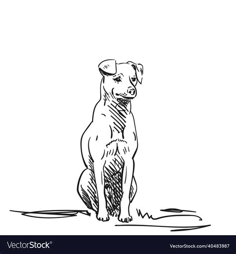 Image result for How to Draw Dog Sitting Down Tutorial