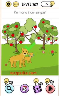 Toradh íomhá ar Brain Test 202