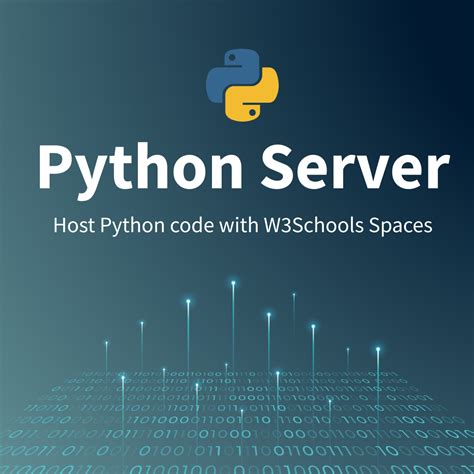Image result for Python Server Desktop