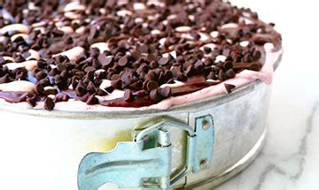 Image result for What to Make in Springform Pan